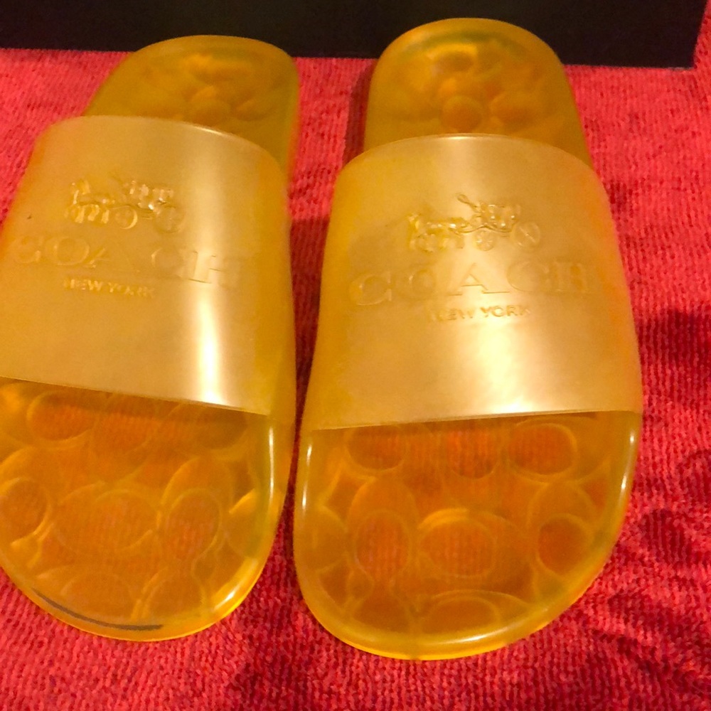 Coach rubber slides